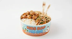 Kids Bop smaller Korean bowl